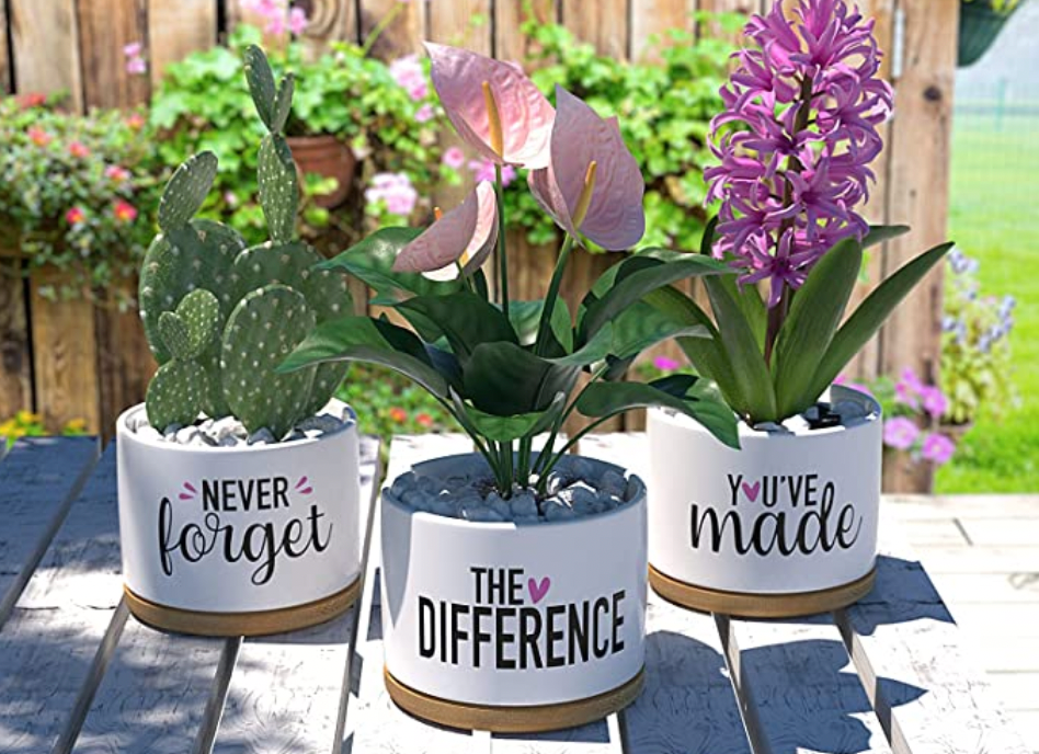 Faux plants for retiring teachers